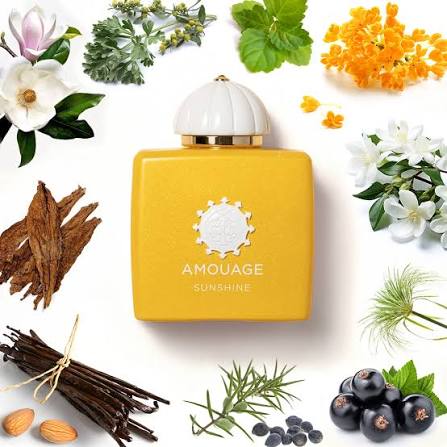 Amouage Sunshine Woman Eau de Parfum 100ml